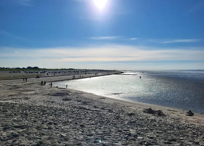 公寓 Seestern Im Haus-neuharlingersiel 纽哈灵吉塞尔